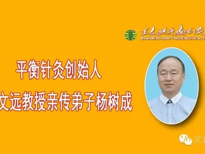 我对平衡针灸及平衡文化的感悟