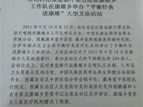 “平衡针灸进康雄大型义诊”活动得到当地政府表扬