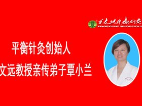 “全国中医传承与创新现场会”参观优秀平衡针急诊基地 ——广东省中医院芳村医院急诊科