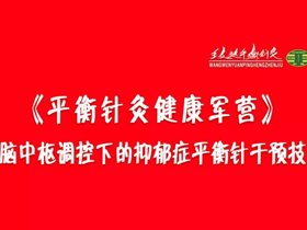 《平衡针灸健康军营》大脑中枢调控下的抑郁症平衡针干预技术