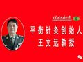 王文远教授示教小脑萎缩平衡针干预技术  ——师承门诊病案摘录