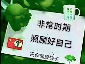 用＂脑技术、脑理论、脑文化＂为指导，创建自己的家庭健康卫士一一如何更好的应对新型冠状病毒肺炎疫情