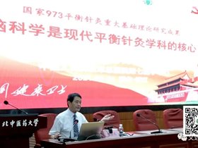 迎接建党100周年：王文远教授阐述“国家与军队对现代平衡针灸学科的支持”