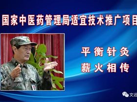 国家中医药管理局适宜技术推广项目  平衡针灸·薪火相传：王文远教授传授学生现代中医平衡针灸临床接诊六个程序