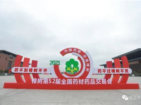 中国健康卫士：于波平衡针灸专家应邀参加樟树第52届全国药交会开展大型义诊活动