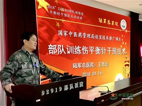 薪火相传：创建“心理—生理—社会—自然相适应的整体医学调节模式”，发挥现代中医平衡针灸干预疾病的特色与优势（二）