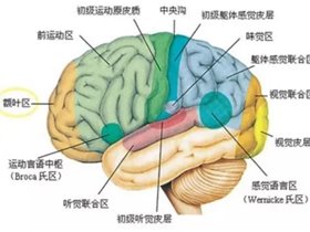 国家创新技术 使命人人健康 树立脑信仰 健康有保障