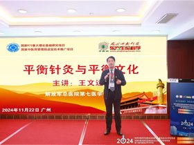 什么是平衡针灸与平衡文化