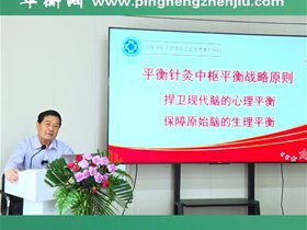 平衡针灸中枢平衡战略原则