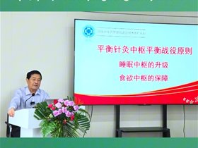 平衡针灸中枢平衡战役原则