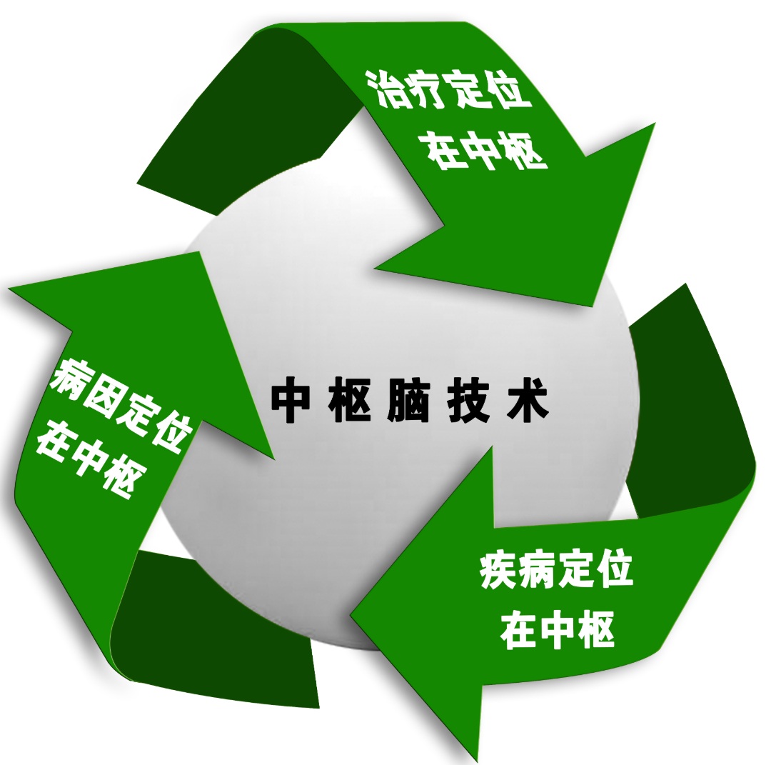 中枢脑技术.jpg