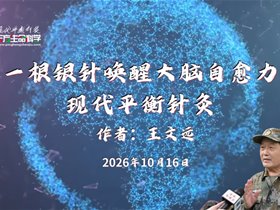 一根银针唤醒大脑自愈力——现代平衡针灸